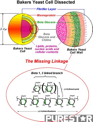 FAQ of Yeast Beta Glucan