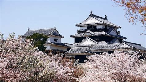 Matsuyama Castle - Matsuyama Travel