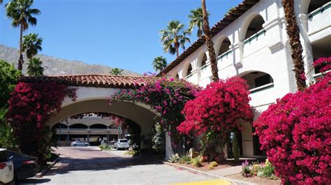 Family Friendly Hotels In Palm Springs, CA: Best Western Las Brisas Review