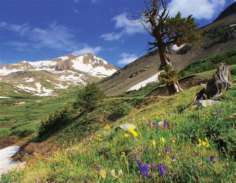 Colorado Heritage Journey - Poudre River, South Park, Sangre De Cristo