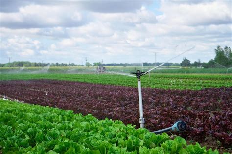 Premium Photo | Sprinkler of irrigation system at field