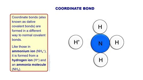 How Coordinate Bond Dative Covalent Bond Is Formed Youtube | My XXX Hot ...