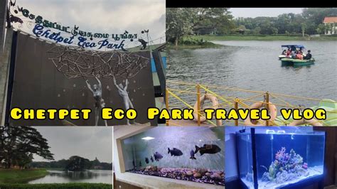 Best weekend spot in Chennai - Chetpet Eco park l Aquarium & Children's park l Boating in Lake ...