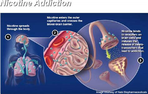 NicVAX for Nicotine Addiction - Clinical Trials Arena