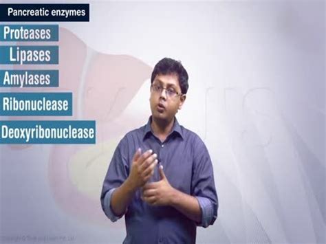 What is the function of Enterokinase?