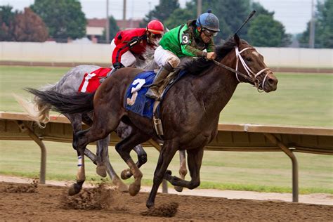 Kentucky State Horse | Thoroughbred