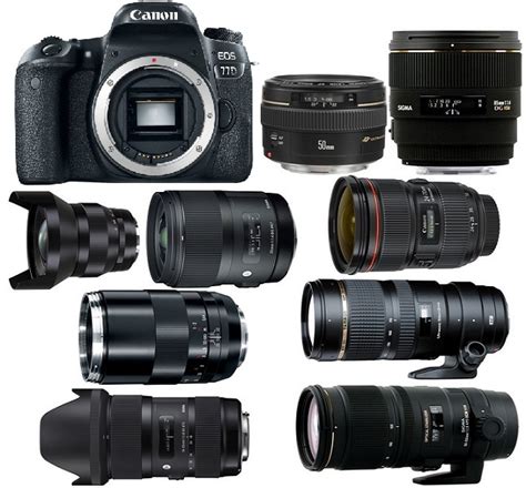 Best Lenses for Canon EOS 77D in 2023 - Camera Times