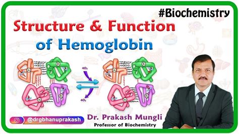 Structure and function of hemoglobin - YouTube