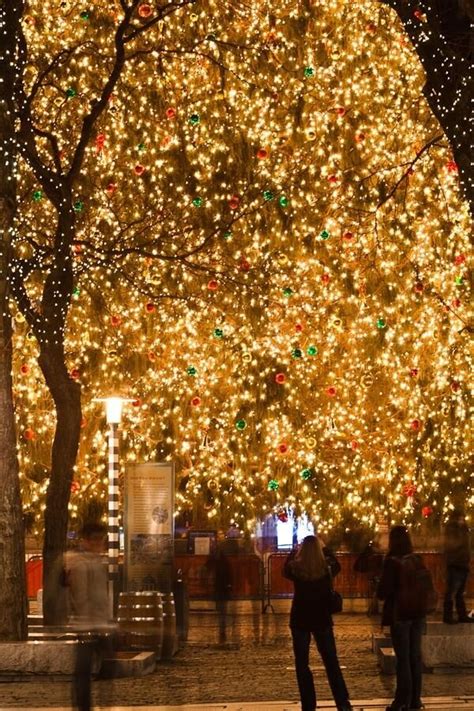 Christmas Time :Faneuil Hall,Boston | Christmas lights, Christmas ...