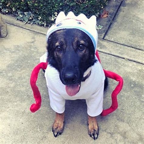 Forky Dog Costume Toy Story Dog Costume Toy Story Forky - Etsy