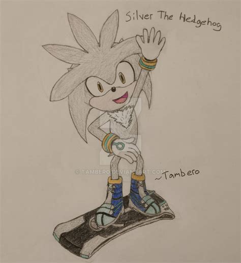 Silver The Hedgehog from Sonic Free Riders by Tambero on DeviantArt