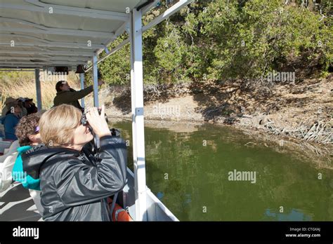 Wildlife Boat Tour, Cachuma Lake, Santa Ynez Valley, California, United States of America Stock ...