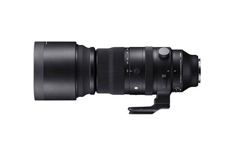 18 BEST Sony Zoom Lenses to Buy for Travel in 2024