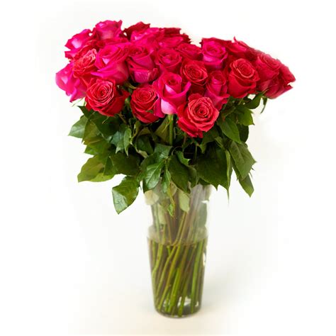 Hot Pink Roses Flower Bouquet - 12 Hot Pink Roses Long Stem - 1 Dozen Roses - Beautiful Hot Pink ...