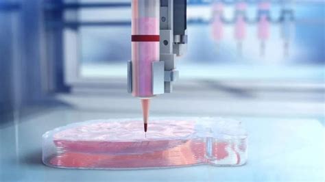 3D Printing in Healthcare: Medical and Dental applications - Magigoo