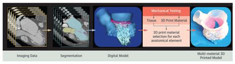 3D Bioprinting The Heart & Cardiovascular System - 3DHeals