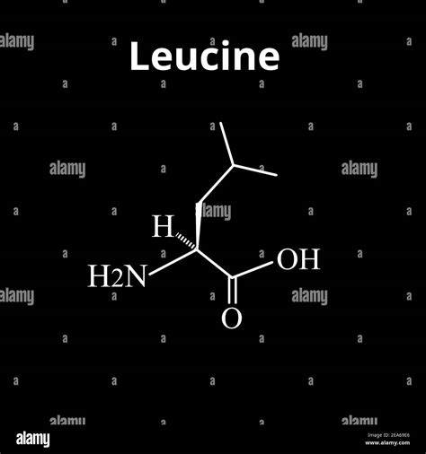 Amino acid Leucine. Chemical molecular formula of amino acid leucine ...