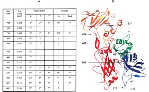 Comparison of computational and observed deamidation in rPA. (A) Table ...