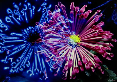 20 Best Kirlian photography examples and techniques for beginners