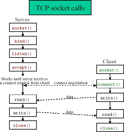 Socket Programming - Bench Partner