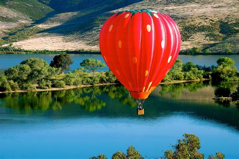 Temecula Valley Balloon & Wine Festival 2024 in California - Rove.me