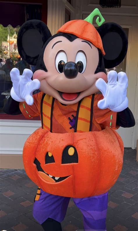 Pin by Luxe Beauty By Monica on Disney in 2023 | Mickey mouse pictures, Disneyland halloween ...