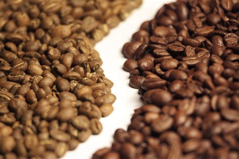 4 Little-Known Facts About Arabica Coffee