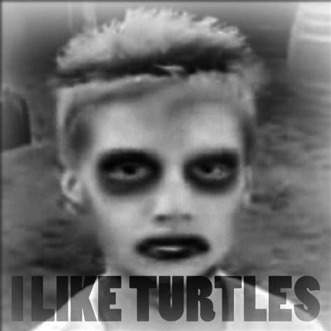 I Like Turtles (Remix) by Turtle Kid on Apple Music