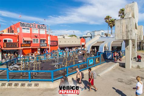 The iconic Muscle Beach Gym is under renovation – Venice Paparazzi | Venice Beach CA, Photo ...