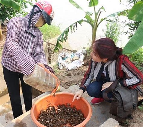 Nuôi con cáy đặc sản không cần cho ăn, tự sinh sôi, thu bộn tiền vì giá ...