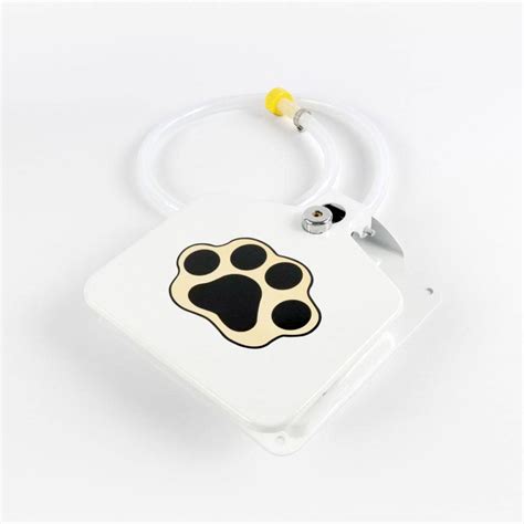 Automatic Outdoor Dog Water Fountain