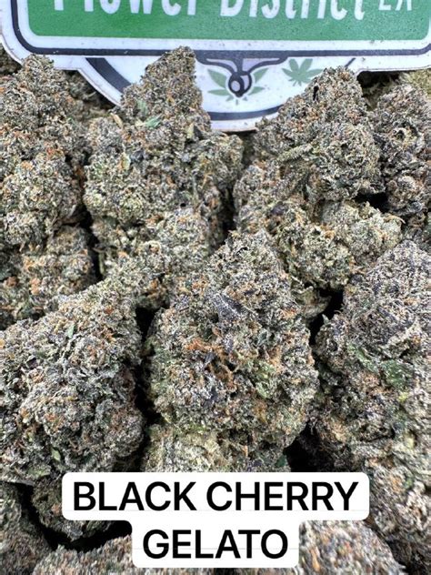 Black Cherry Gelato Weed Strain | FLOWER DISTRICT LA