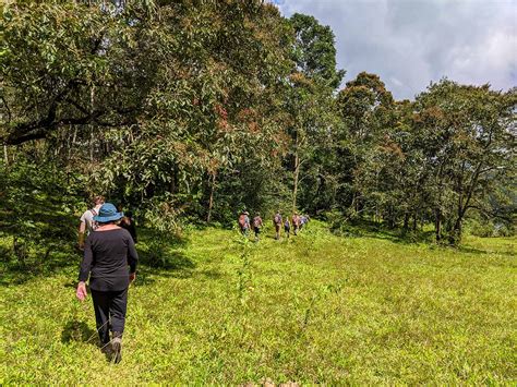 Western Ghats Trekking Tour (Kerala, India)