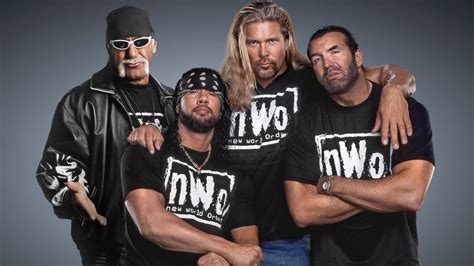 Sean Waltman on which group he liked being a part more: "I say DX because I had the most fun ...