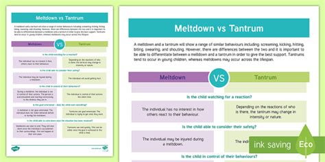 Meltdown vs Tantrum Information Sheet