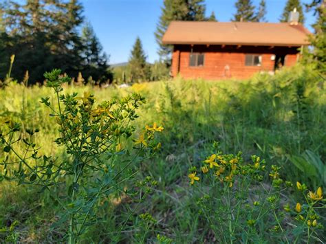 Log Cabins - Stay on Mt. Hood- Cooper Spur Mountain Resort