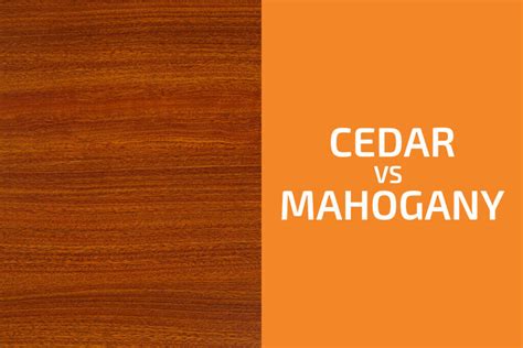 Cedar vs. Mahogany: Which One to Use? - Handyman's World