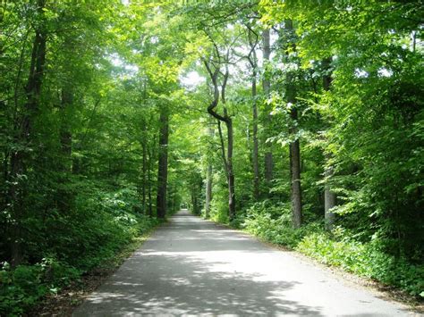 Rondeau Provincial Park | Carolinian Canada