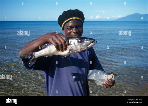 Fish caught in lake malawi hi-res stock photography and images - Alamy