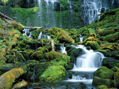 Mossy Waterfall HD Wallpaper