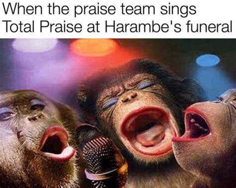 Must-See Harambe The Gorilla Memes | Bossip