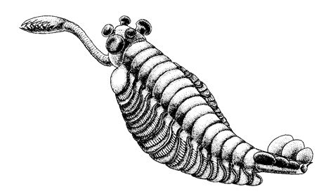 Opabinia | Prehistoric Earth Wiki | Fandom