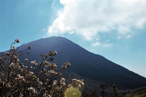 pacaya volcano antigua guatemala - Tiffany's Travels