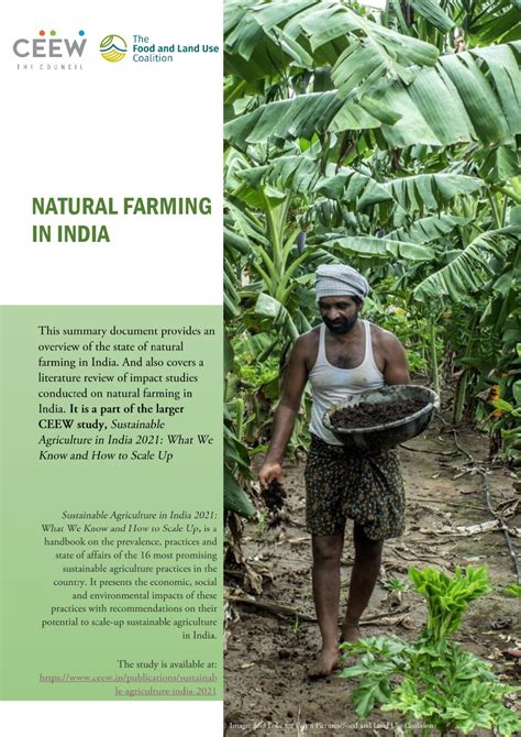 What is Natural Farming Cultivation in India? CEEW Research