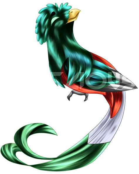 Quetzal Bird Drawing | Free download on ClipArtMag