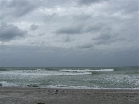 Beach, Longboat Key, Florida, November 9, 2009