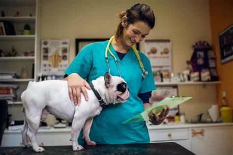 50 Secrets Your Veterinarian Won’t Tell You ( courtecy;-Reader's digest )