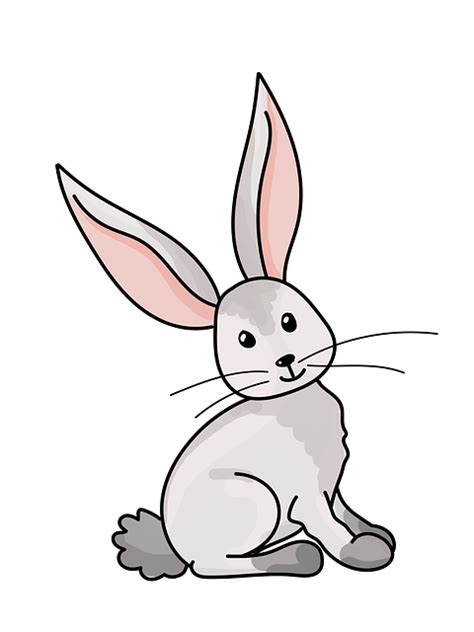 Download Rabbit, Bunny, Cute. Royalty-Free Stock Illustration Image - Pixabay