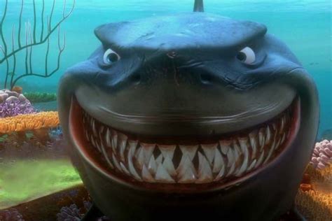 #bruce finding nemo on Tumblr