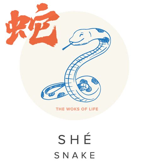 Chinese year of the Snake | The Woks of Life